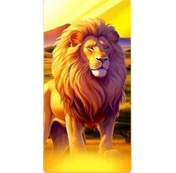 Lion
Safari
